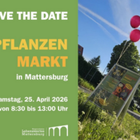 Pflanzerlmarkt Mattersburg